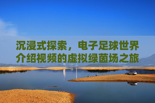 沉浸式探索，电子足球世界介绍视频的虚拟绿茵场之旅，沉浸式探索，电子足球世界虚拟绿茵场之旅