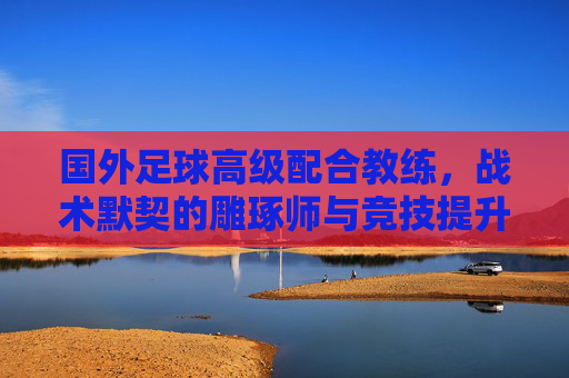 国外足球高级配合教练，战术默契的雕琢师与竞技提升的加速器