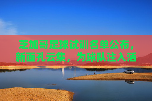 芝加哥足球试训名单公布,新面孔云集,为球队注入活力与期待