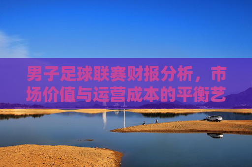 男子足球联赛财报分析,市场价值与运营成本的平衡艺术——基于全球顶级联赛的财务数据透视