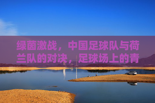 绿茵激战，中国足球队与荷兰队的对决，足球场上的青春与梦想碰撞