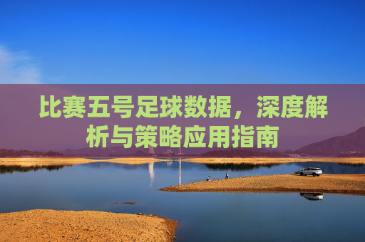 比赛五号足球数据,深度解析与策略应用指南