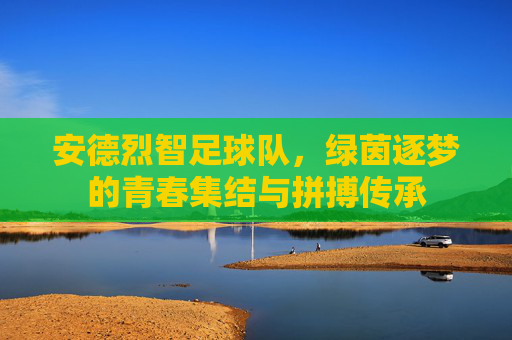 安德烈智足球队,绿茵逐梦的青春集结与拼搏传承