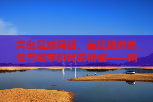 青岛足球网超,连接城市热忱与数字时代的桥梁——网超如何重塑青岛足球生态,青岛足球网超,连接城市热忱与数字时代的桥梁,重塑足球生态新格局