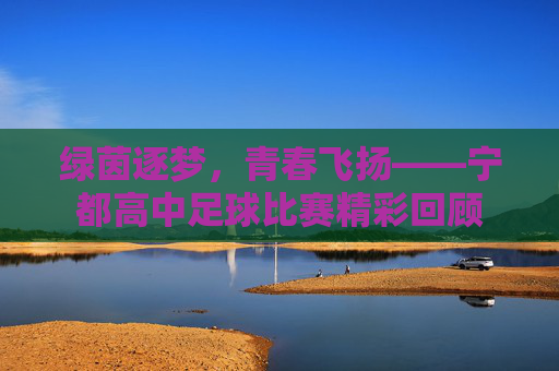 绿茵逐梦,青春飞扬——宁都高中足球比赛精彩回顾