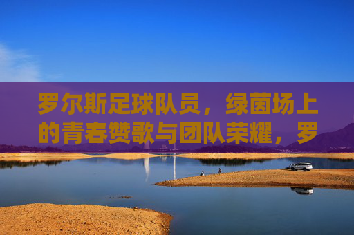 罗尔斯足球队员，绿茵场上的青春赞歌与团队荣耀，罗尔斯足球队员，绿茵场上的青春赞歌与团队荣耀
