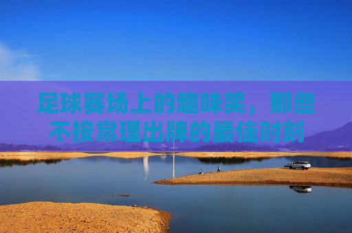 足球赛场上的趣味奖,那些不按常理出牌的最佳时刻
