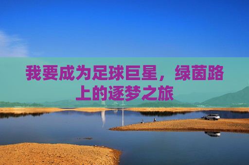 我要成为足球巨星，绿茵路上的逐梦之旅