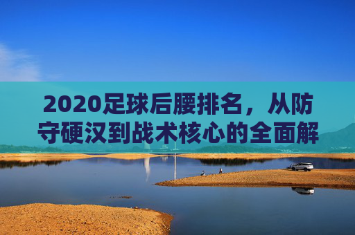 2020足球后腰排名,从防守硬汉到战术核心的全面解析