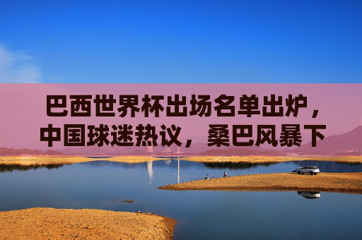 巴西世界杯出场名单出炉,中国球迷热议,桑巴风暴下的战术解析与足球文化共鸣