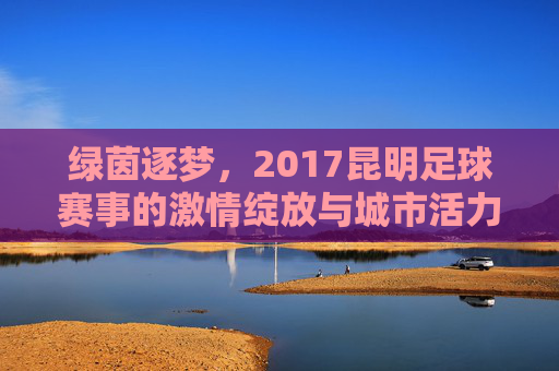 绿茵逐梦，2017昆明足球赛事的激情绽放与城市活力