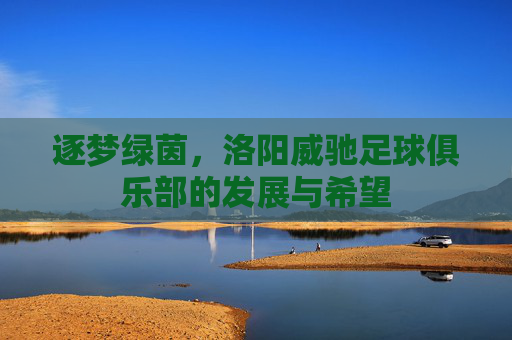 逐梦绿茵,洛阳威驰足球俱乐部的发展与希望