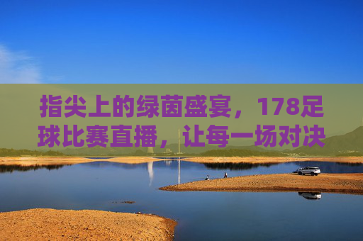 指尖上的绿茵盛宴,178足球比赛直播,让每一场对决都触手可及