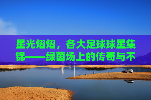 星光熠熠，各大足球球星集锦——绿茵场上的传奇与不朽，星光熠熠，各大足球球星集锦——绿茵场上的传奇与不朽