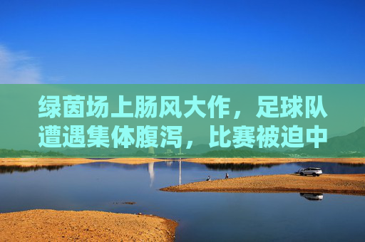 绿茵场上肠风大作，足球队遭遇集体腹泻，比赛被迫中断的意外，绿茵场上集体腹泻致比赛被迫中断的意外