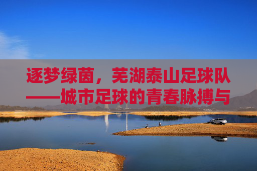 逐梦绿茵,芜湖泰山足球队——城市足球的青春脉搏与时代印记,逐梦绿茵,芜湖泰山足球队——城市足球的青春脉搏与时代印记