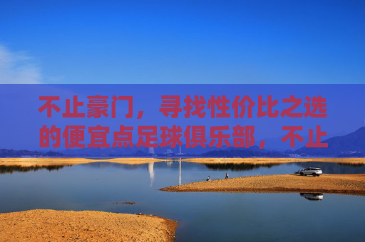不止豪门,寻找性价比之选的便宜点足球俱乐部,不止豪门,寻找性价比之选的便宜点足球俱乐部