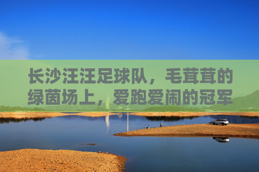 长沙汪汪足球队，毛茸茸的绿茵场上，爱跑爱闹的冠军梦，长沙汪汪足球队，毛茸茸的绿茵场上，爱跑爱闹的冠军梦
