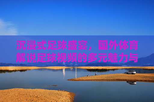 沉浸式足球盛宴,国外体育解说足球视频的多元魅力与深度解析,沉浸式足球盛宴,国外体育解说视频的多元魅力与深度解析