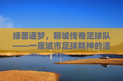 绿茵逐梦,聊城传奇足球队——一座城市足球精神的活化石与传承者,绿茵逐梦,聊城传奇足球队——一座城市足球精神的活化石与传承者