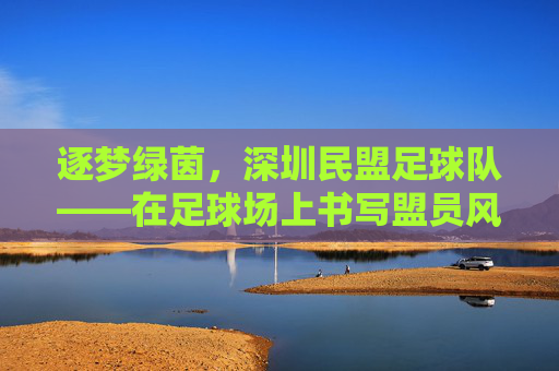 逐梦绿茵,深圳民盟足球队——在足球场上书写盟员风采与团结力量,逐梦绿茵,深圳民盟足球队——在足球场上书写盟员风采与团结力量