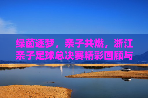绿茵逐梦，亲子共燃，浙江亲子足球总决赛精彩回顾与感动瞬间，绿茵逐梦，亲子共燃，浙江亲子足球总决赛精彩回顾与感动瞬间