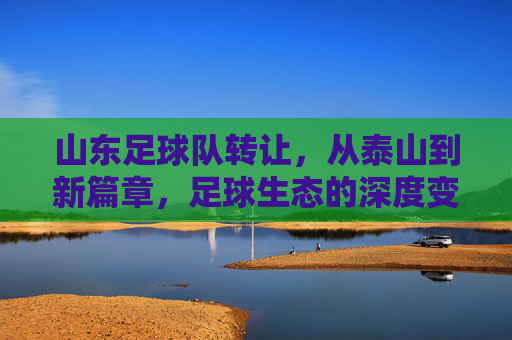 山东足球队转让，从泰山到新篇章，足球生态的深度变革与未来展望，山东足球队转让，从泰山到新篇章，足球生态的深度变革与未来展望
