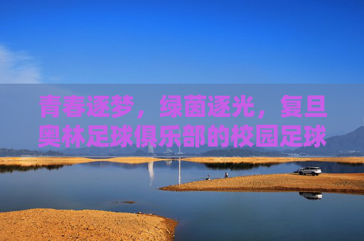 青春逐梦，绿茵逐光，复旦奥林足球俱乐部的校园足球新篇章，青春逐梦，绿茵逐光，复旦奥林足球俱乐部的校园足球新篇章