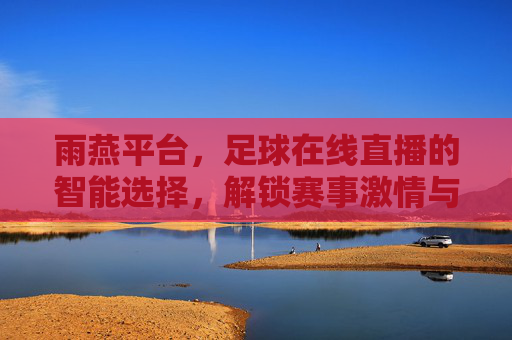 雨燕平台，足球在线直播的智能选择，解锁赛事激情与高清视觉盛宴，雨燕平台，足球在线直播的智能选择，解锁赛事激情与高清视觉盛宴