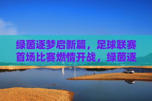 绿茵逐梦启新篇，足球联赛首场比赛燃情开战，绿茵逐梦启新篇，足球联赛首场比赛燃情开战