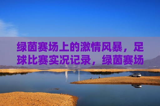 绿茵赛场上的激情风暴，足球比赛实况记录，绿茵赛场上的激情风暴，足球比赛实况记录