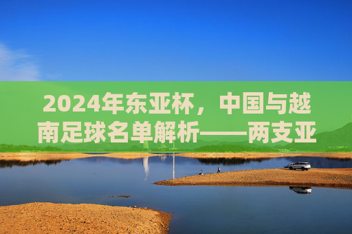 2024年东亚杯,中国与越南足球名单解析——两支亚洲足球劲旅的阵容特点与战术布局,2024年东亚杯中国与越南足球名单解析,阵容特点与战术布局分析