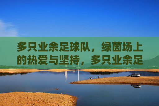 多只业余足球队，绿茵场上的热爱与坚持，多只业余足球队，绿茵场上的热爱与坚持