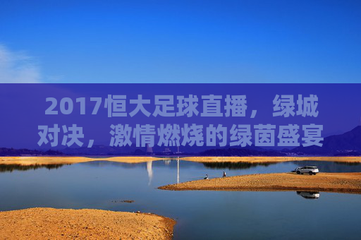 2017恒大足球直播,绿城对决,激情燃烧的绿茵盛宴——球迷热血沸腾的赛事回顾与体验,2017恒大vs绿城对决直播回顾,绿茵激情燃烧,球迷热血沸腾的盛宴
