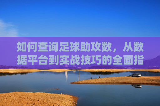 如何查询足球助攻数，从数据平台到实战技巧的全面指南，如何查询足球助攻数，从数据平台到实战技巧的全面指南