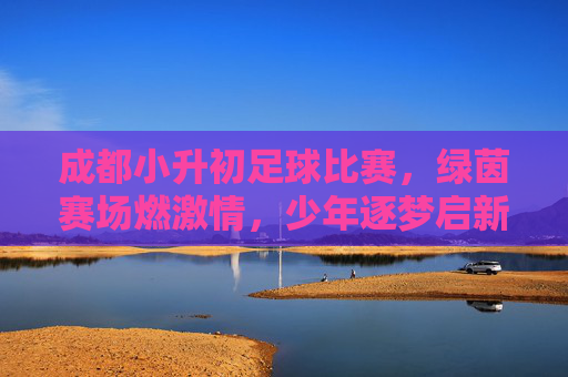 成都小升初足球比赛,绿茵赛场燃激情,少年逐梦启新程,成都小升初足球比赛,绿茵赛场燃激情,少年逐梦启新程