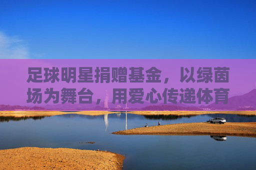 足球明星捐赠基金,以绿茵场为舞台,用爱心传递体育精神与社会温度,足球明星捐赠基金,以绿茵场为舞台,用爱心传递体育精神与社会温度