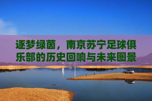 逐梦绿茵,南京苏宁足球俱乐部的历史回响与未来图景,逐梦绿茵,南京苏宁足球俱乐部的历史回响与未来图景