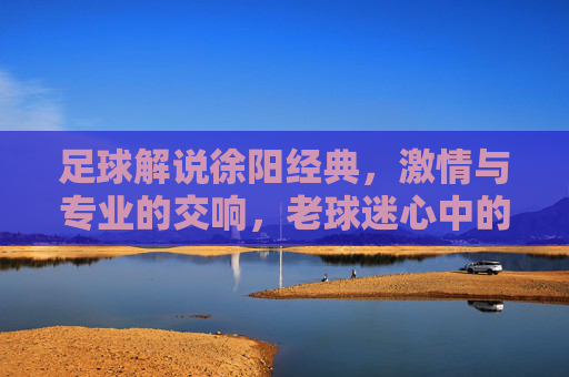 足球解说徐阳经典，激情与专业的交响，老球迷心中的永恒回响，足球解说徐阳经典，激情与专业的交响，老球迷心中的永恒回响