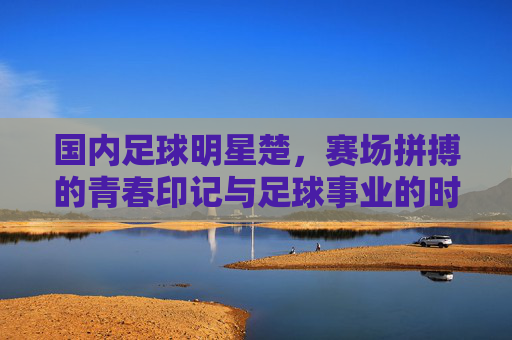 国内足球明星楚,赛场拼搏的青春印记与足球事业的时代贡献,国内足球明星楚,赛场拼搏的青春印记与足球事业的时代贡献