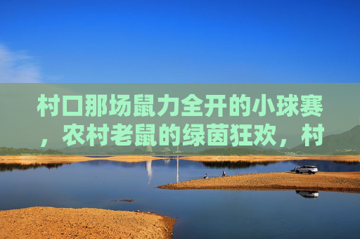 村口那场鼠力全开的小球赛,农村老鼠的绿茵狂欢,村口那场鼠力全开的小球赛,农村老鼠的绿茵狂欢
