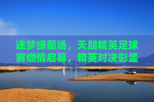 逐梦绿茵场，天朗精英足球赛燃情启幕，精英对决彰显足球魅力与青春活力，逐梦绿茵场，天朗精英足球赛燃情启幕，精英对决彰显足球魅力与青春活力