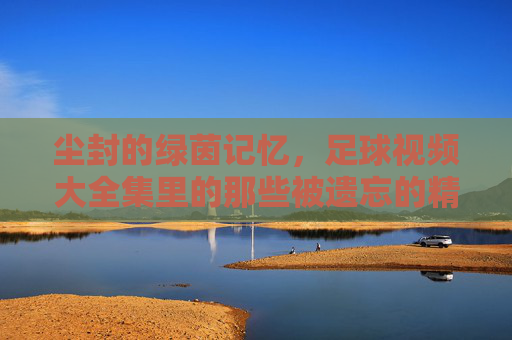 尘封的绿茵记忆,足球视频大全集里的那些被遗忘的精彩瞬间,尘封的绿茵记忆,足球视频大全集里的那些被遗忘的精彩瞬间