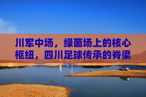 川军中场,绿茵场上的核心枢纽,四川足球传承的脊梁,川军中场,绿茵场上的核心枢纽,四川足球传承的脊梁