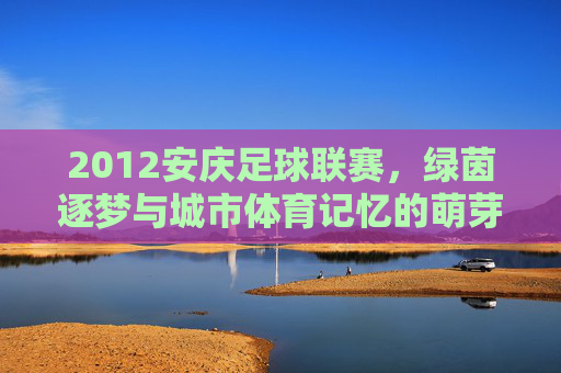 2012安庆足球联赛,绿茵逐梦与城市体育记忆的萌芽,2012安庆足球联赛,绿茵逐梦与城市体育记忆的萌芽