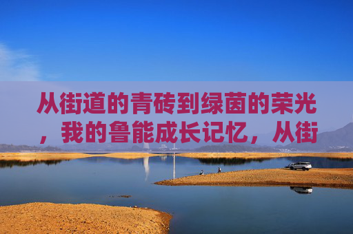 从街道的青砖到绿茵的荣光，我的鲁能成长记忆，从街道的青砖到绿茵的荣光，我的鲁能成长记忆