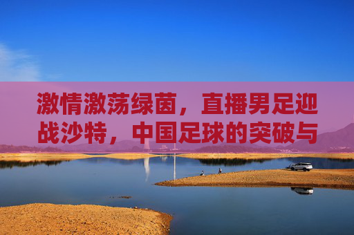 激情激荡绿茵,直播男足迎战沙特,中国足球的突破与沙特足球的独特魅力,激情绿茵燃战,中国男足迎战沙特,足球突破与独特魅力的碰撞