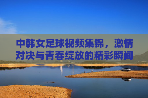 中韩女足球视频集锦，激情对决与青春绽放的精彩瞬间