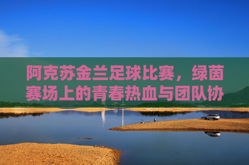 阿克苏金兰足球比赛，绿茵赛场上的青春热血与团队协作