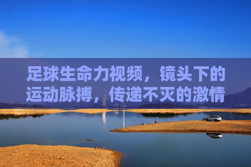 足球生命力视频，镜头下的运动脉搏，传递不灭的激情